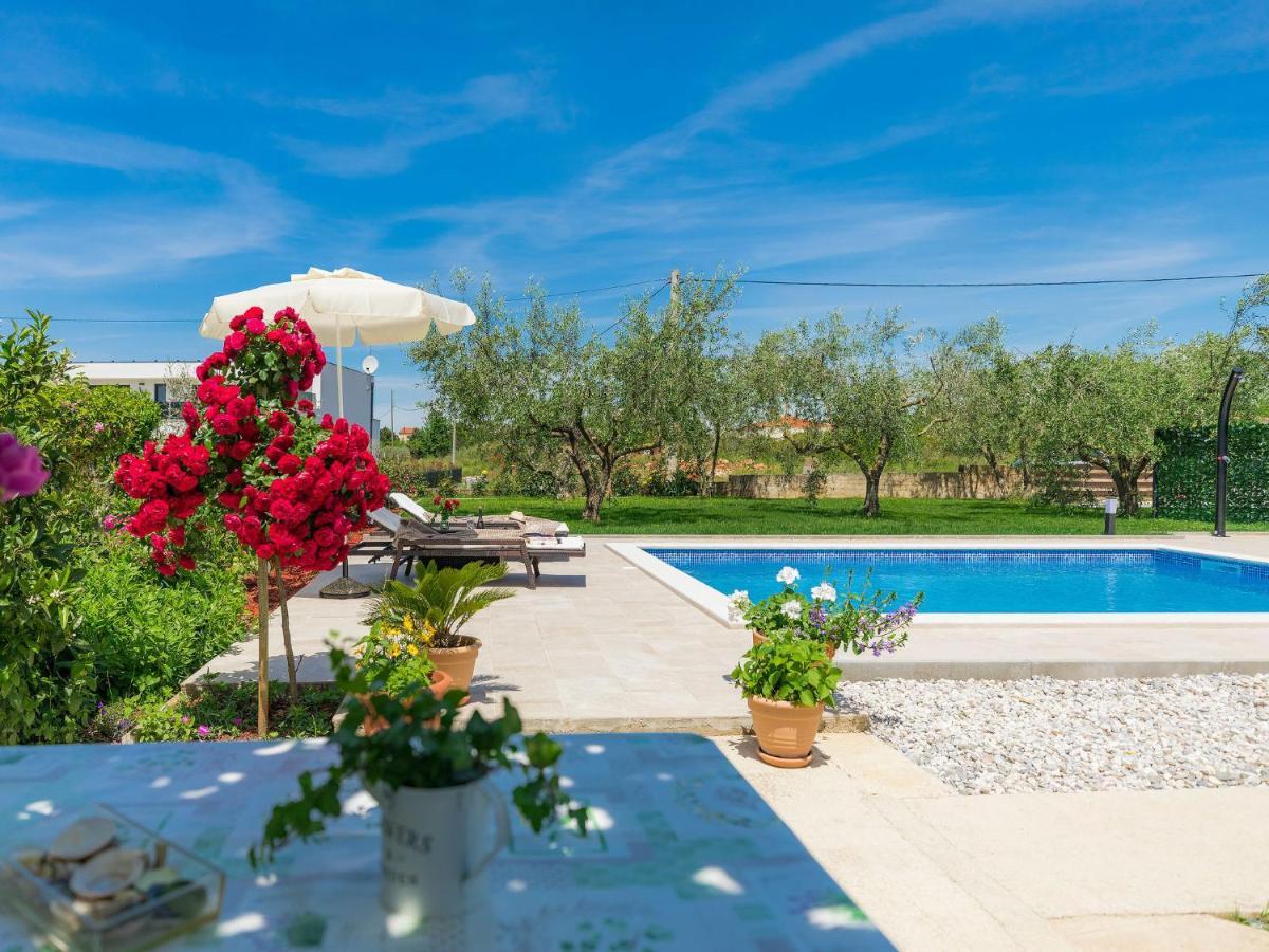 Apartment Chiara By Interhome Novigrad  Luaran gambar